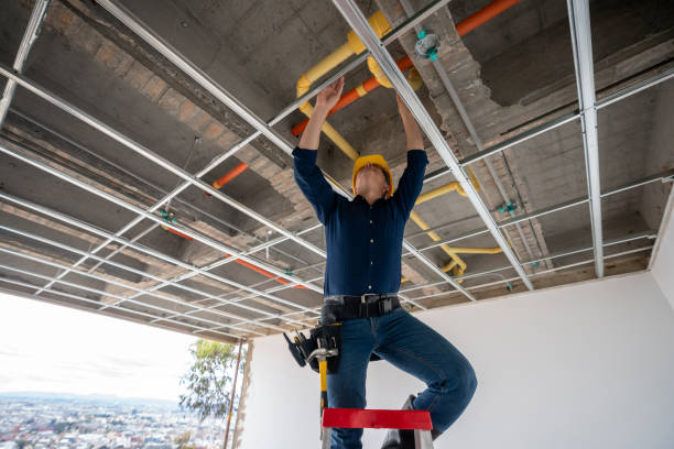 Best Plumbing Inspection Services  in Marcellus, MI